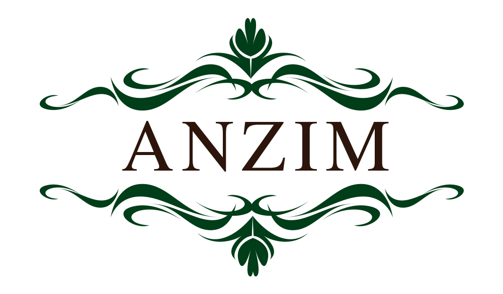 Anzim logo transparent